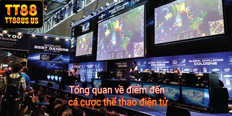 Tổng quan về điểm đến cá cược thể thao điện tử